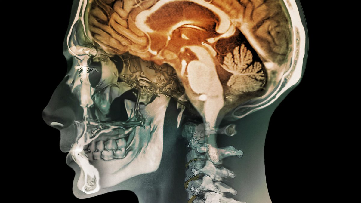 Как выглядит голова человека внутри BBC Radio 5 Live - 5 Live In Short, Neurosurgeon hopes to perform first human he