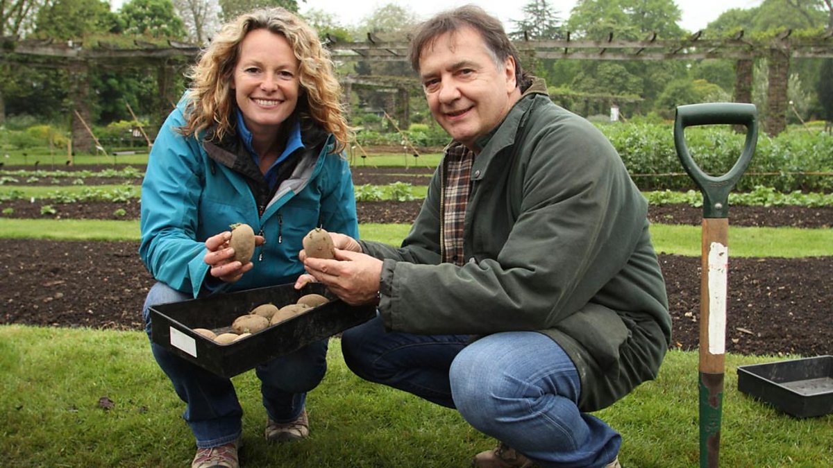 BBC Four | Botany: A Blooming History – How commercial growers improve ...