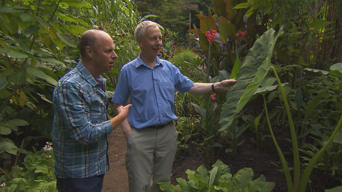 BBC Two - Gardeners' World, 2015, Episode 5, Jack’s jungle