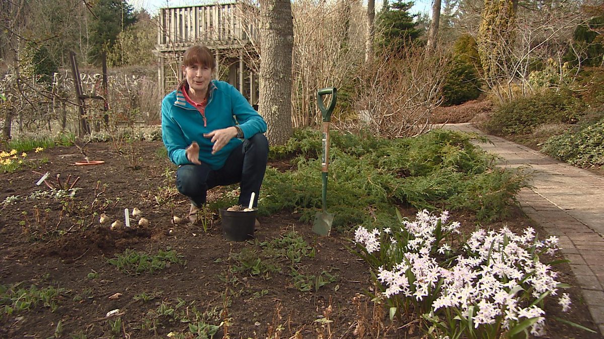 BBC Two The Beechgrove Garden, 2015, Episode 3, Jim explains how to