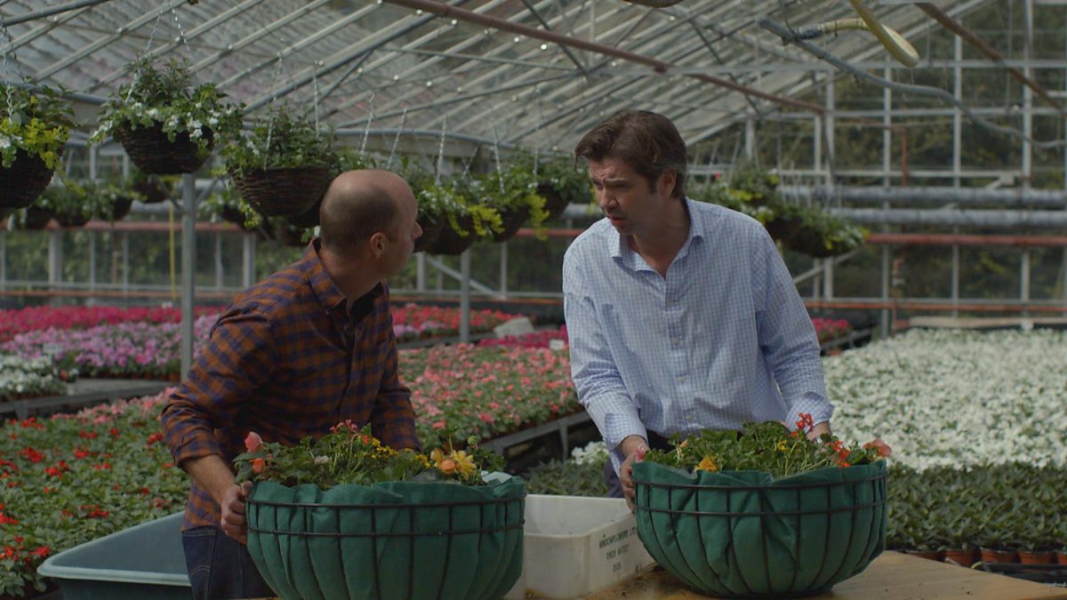 BBC Two Gardeners' World, 2015, Episode 10, How to plant a hanging basket