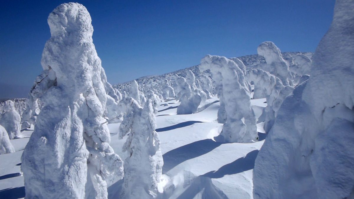 BBC Two - Japan: Earth's Enchanted Islands, Honshu, Web exclusive: Snow ...