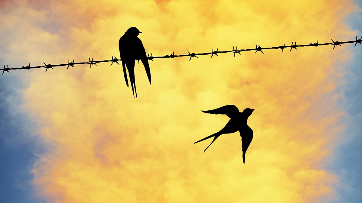 Swallows of Kabul by Yasmina Khadra