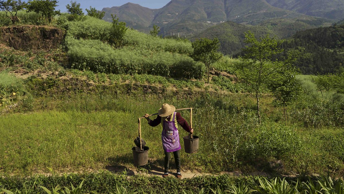 BBC World News White Horse Village 10 Years In
