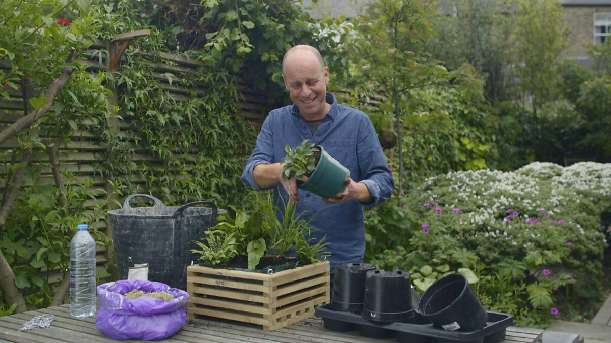 BBC Two Gardeners' World, 2015, Episode 14, Joe’s hanging basket
