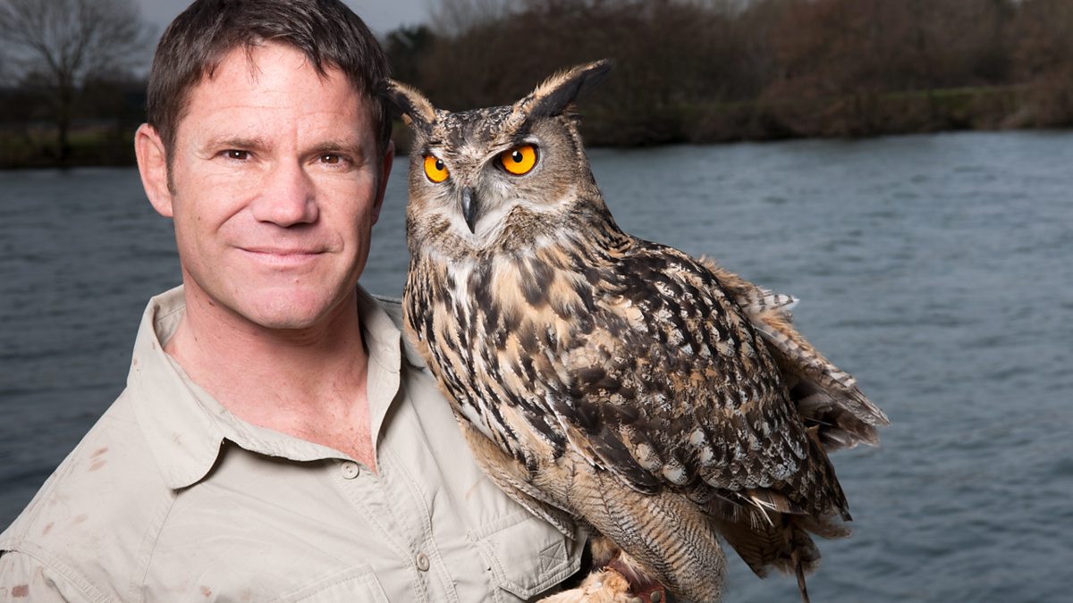 BBC One - Nature's Greatest Dancers - Meet Steve