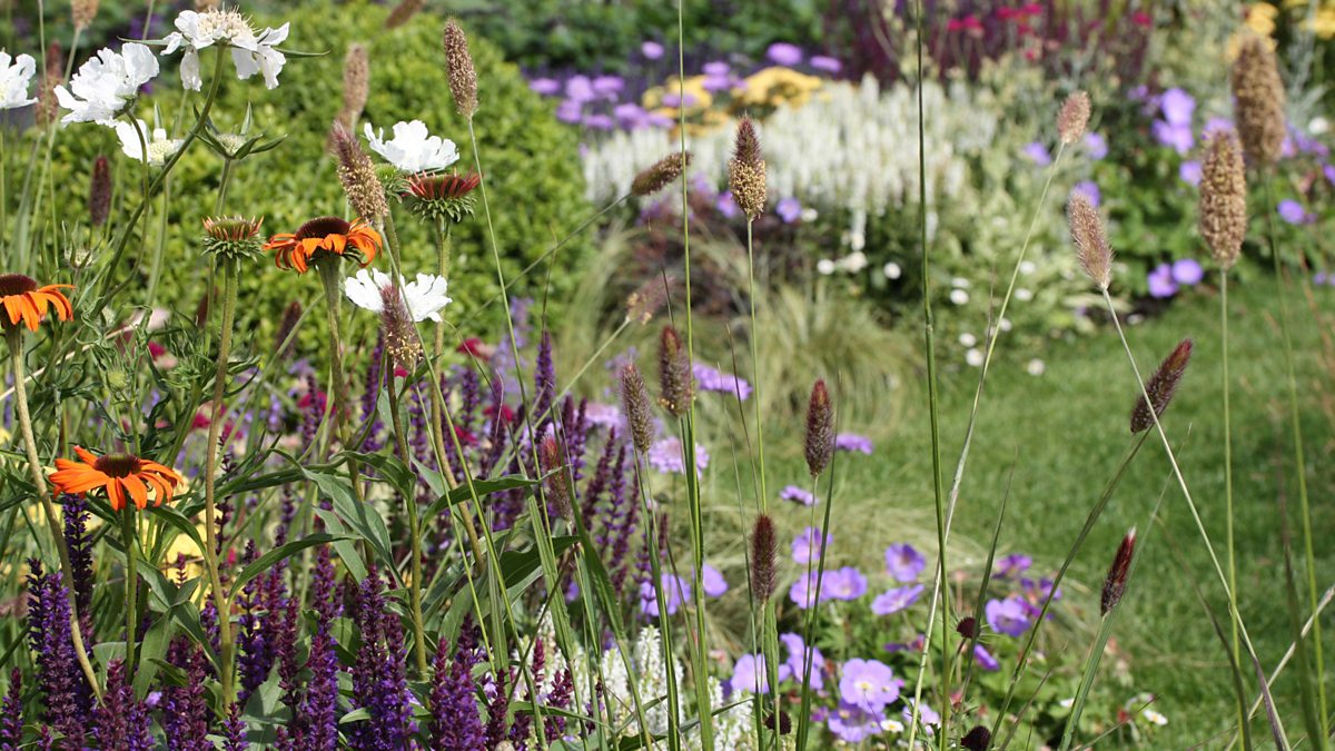 BBC Two - Urban Oasis. Designed by Ian Hammond - Hampton Court Palace ...