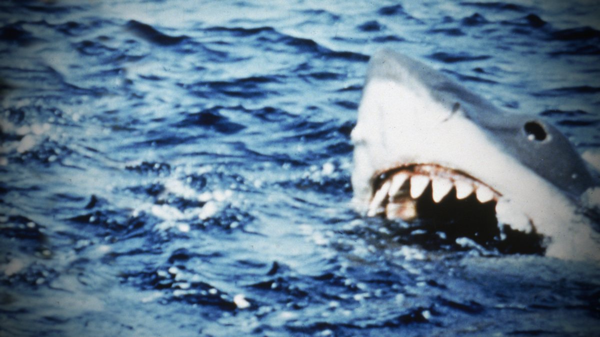 BBC Radio 4 - Free Thinking, Landmark - Jaws: Sharks and Whales