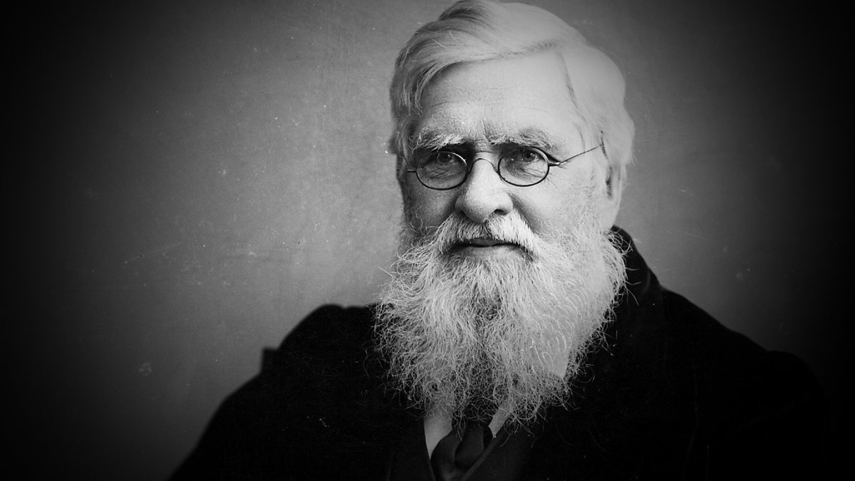 c Radio 4 Great Lives Series 14 Alfred Russel Wallace