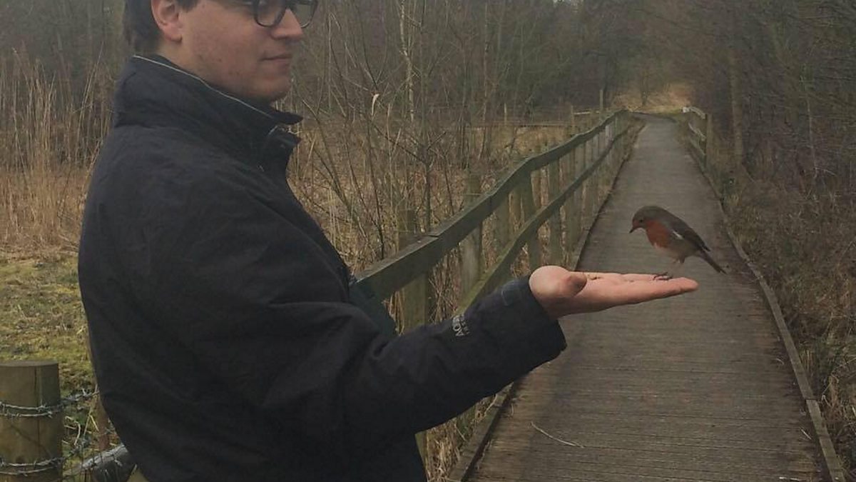 BBC Blogs - Springwatch - Wing Tips: Identifying our birds of prey