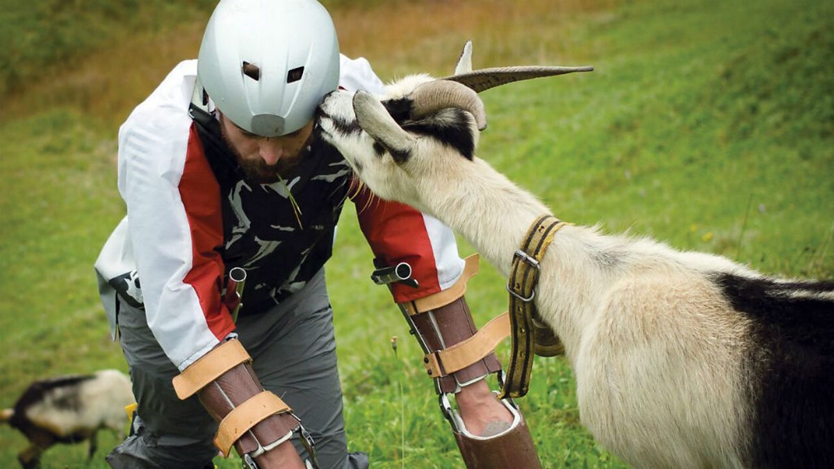 The goat life. Человек козлик.