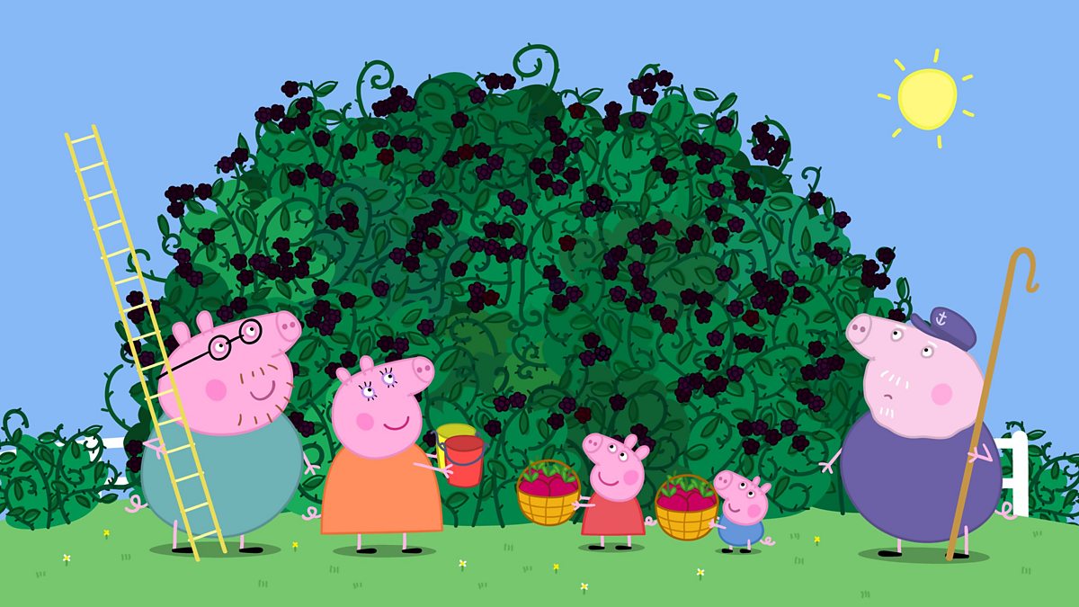 S4C - Peppa, Cyfres 3, Y Llwyn Mwyar Duon