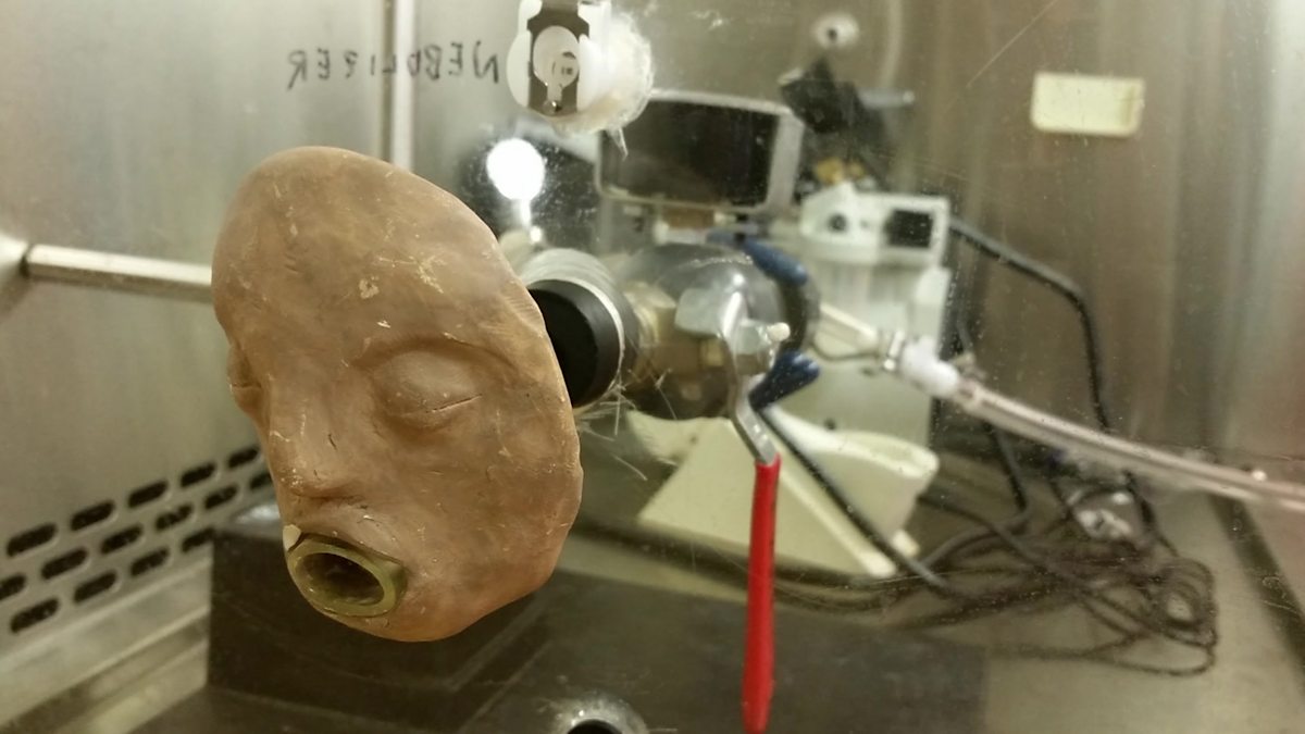 Dog Has Projectile Vomit at Priscilla Butler blog