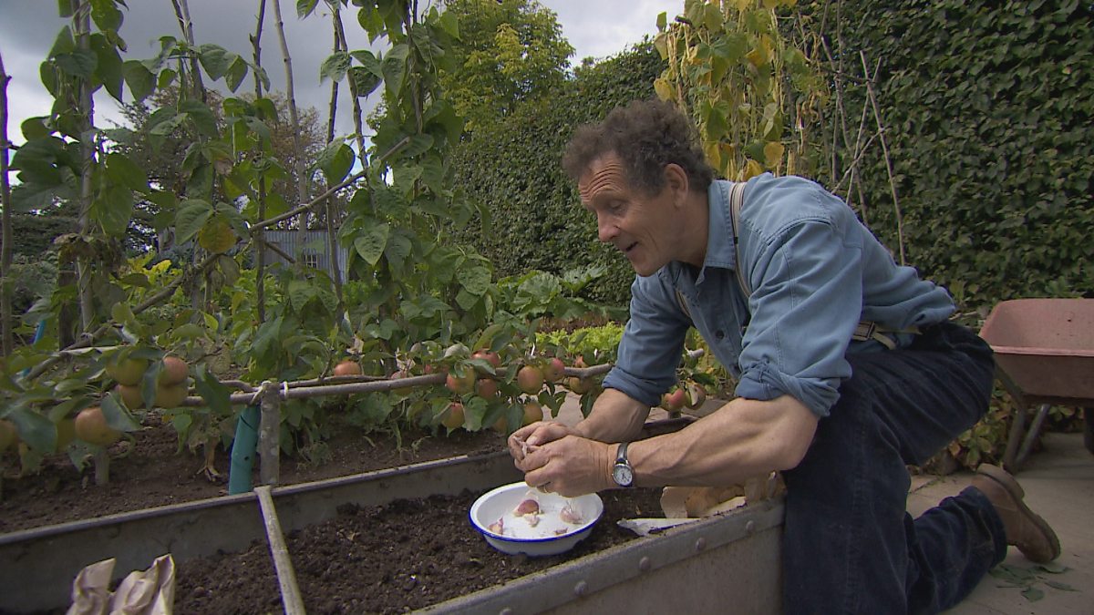 BBC Two Gardeners' World, 2015, Episode 27, Garlic in a pot