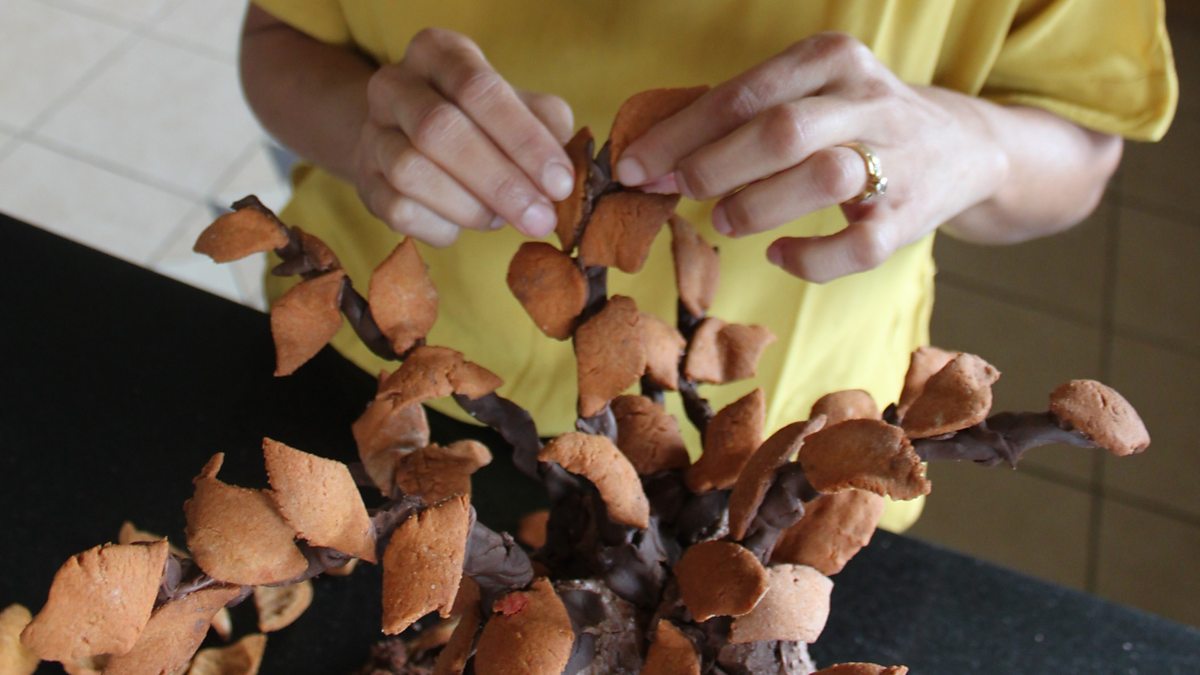 BBC Arts Get Creative Autumn wonder Take a leaf out of Chetna's