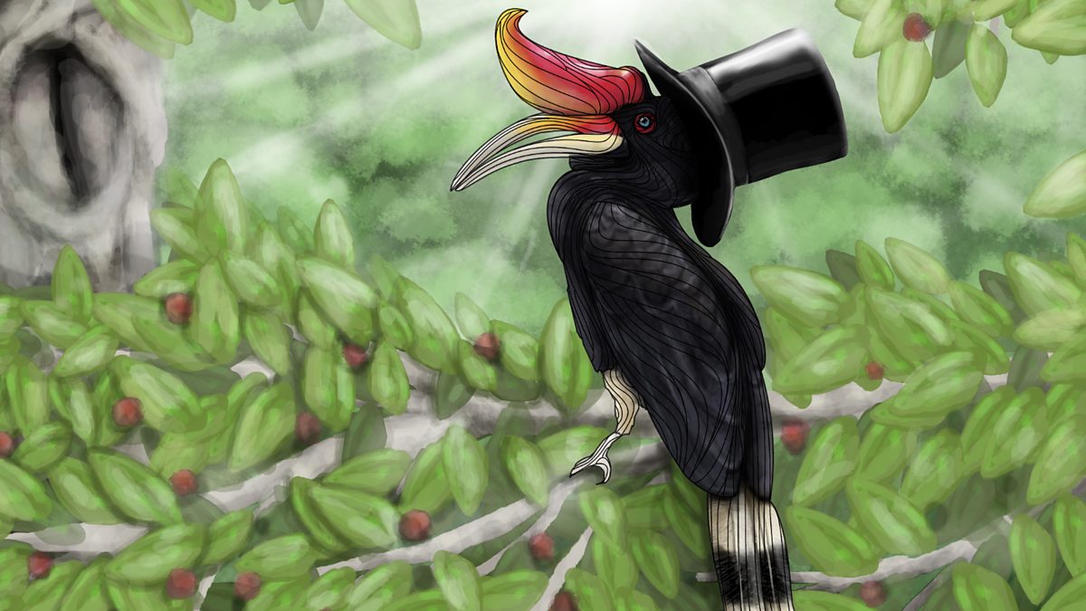 BBC Radio 4 - Natural Histories, COMEDY: The World According To Hornbill