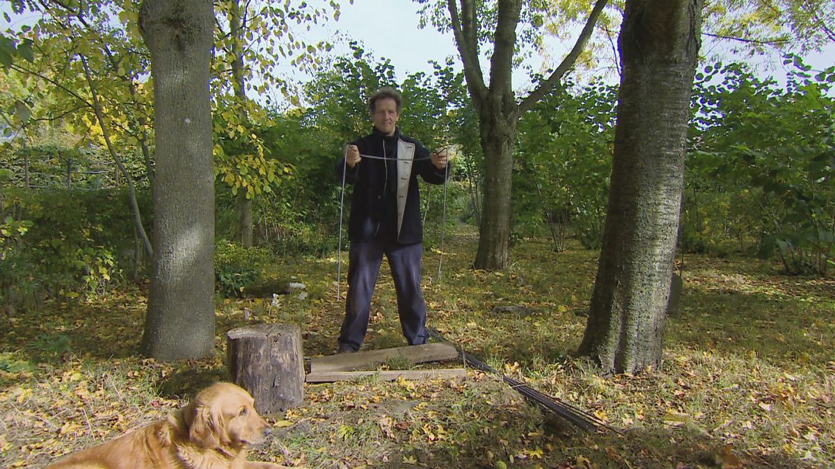 BBC Two Gardeners' World, 2015, Episode 30, DIY plant supports