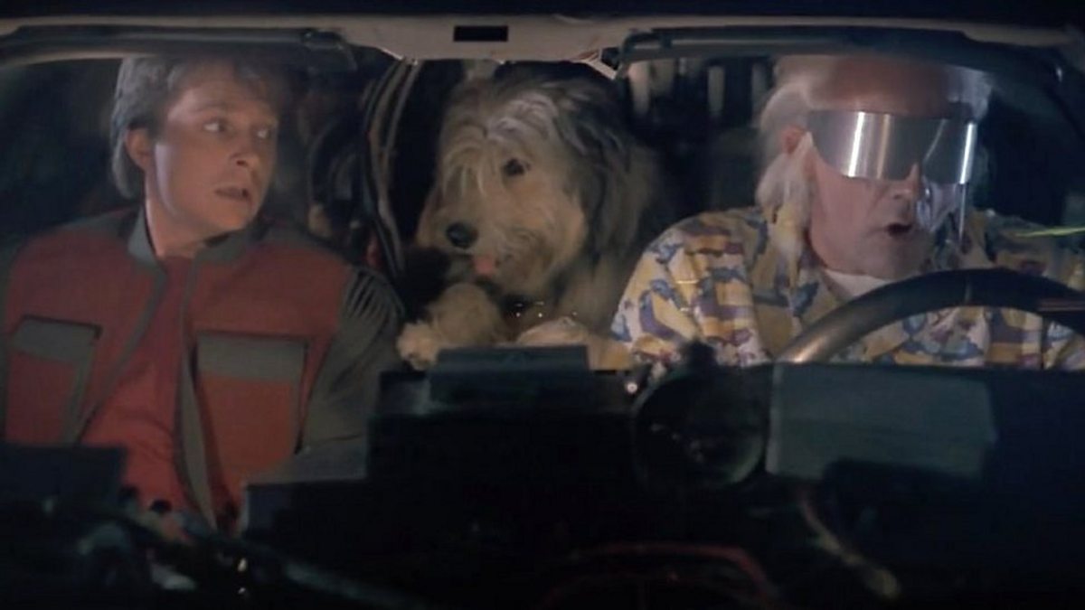 Назад в будущее собака. Назад в будущее собака эйнштейн. Собака из назад в будущее. Назад в будущее собака эйнштейн. Коперник собака дока брауна.