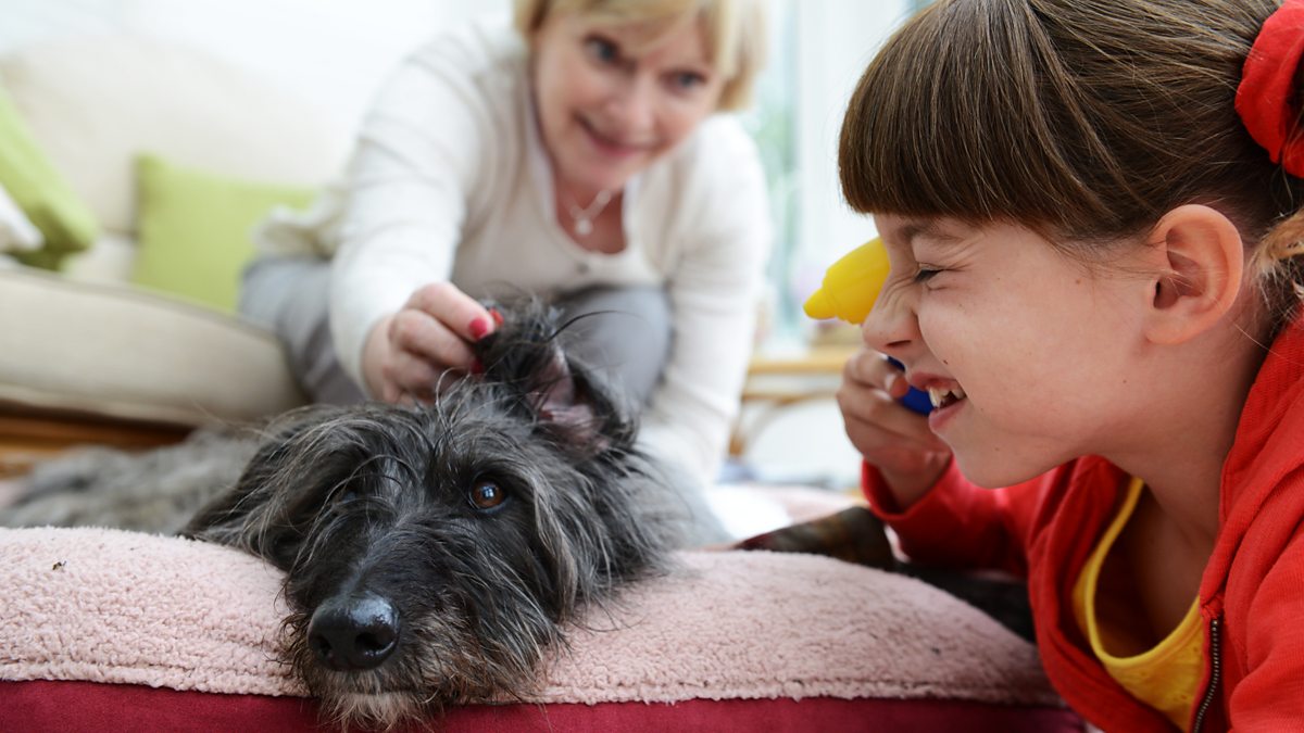 BBC CBeebies Topsy and Tim, Series 3, Two Dogs Credits