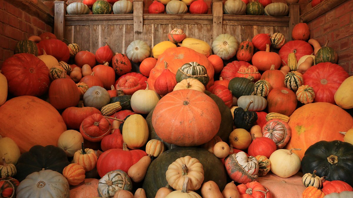 BBC Blogs Wales Will the weather be a trick or treat this Halloween?