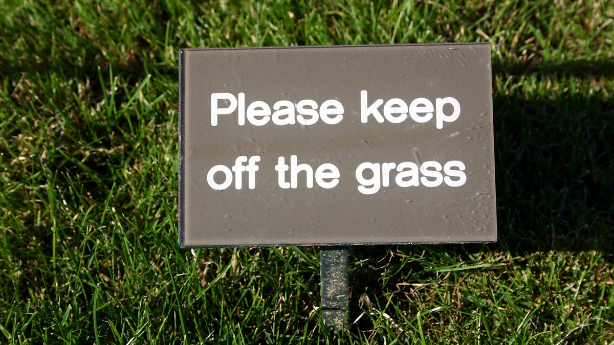 Ruling without rules. Keep off the grass. Keep off. Rules are made to be broken. Keep off the grass sign.