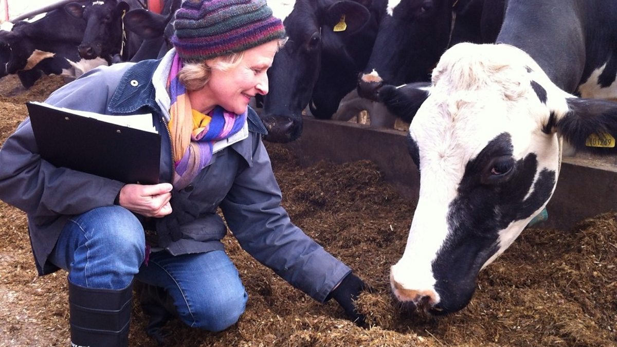 BBC Radio 4 Farming Today, Farming Today spends a week on a dairy