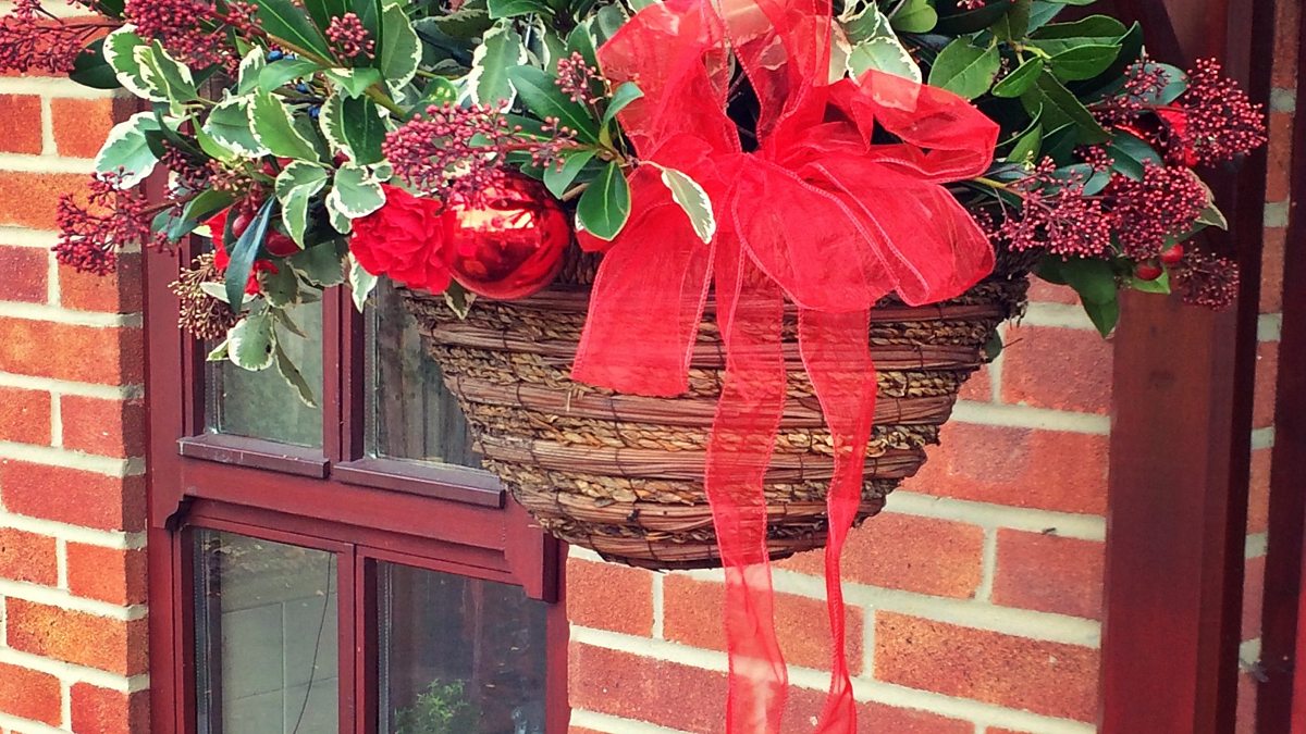 BBC Radio Solent The Kitchen Garden, Festive Hanging Basket, Game and