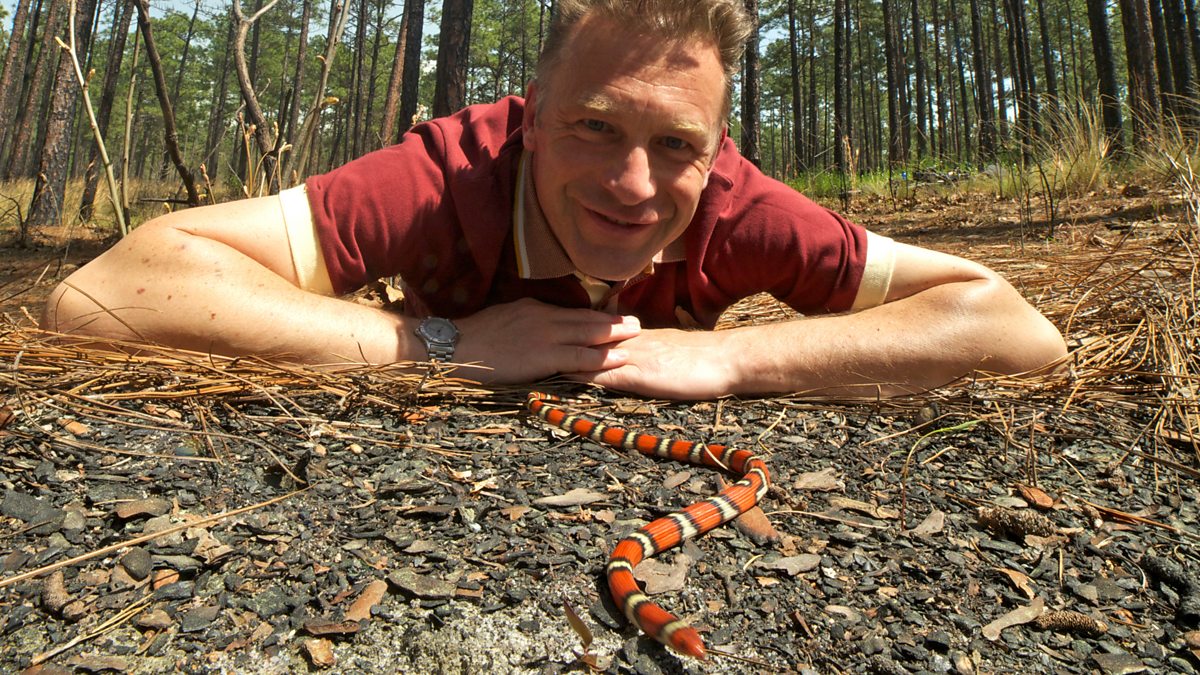 BBC Two World's Sneakiest Animals, Series 1, Staying Alive