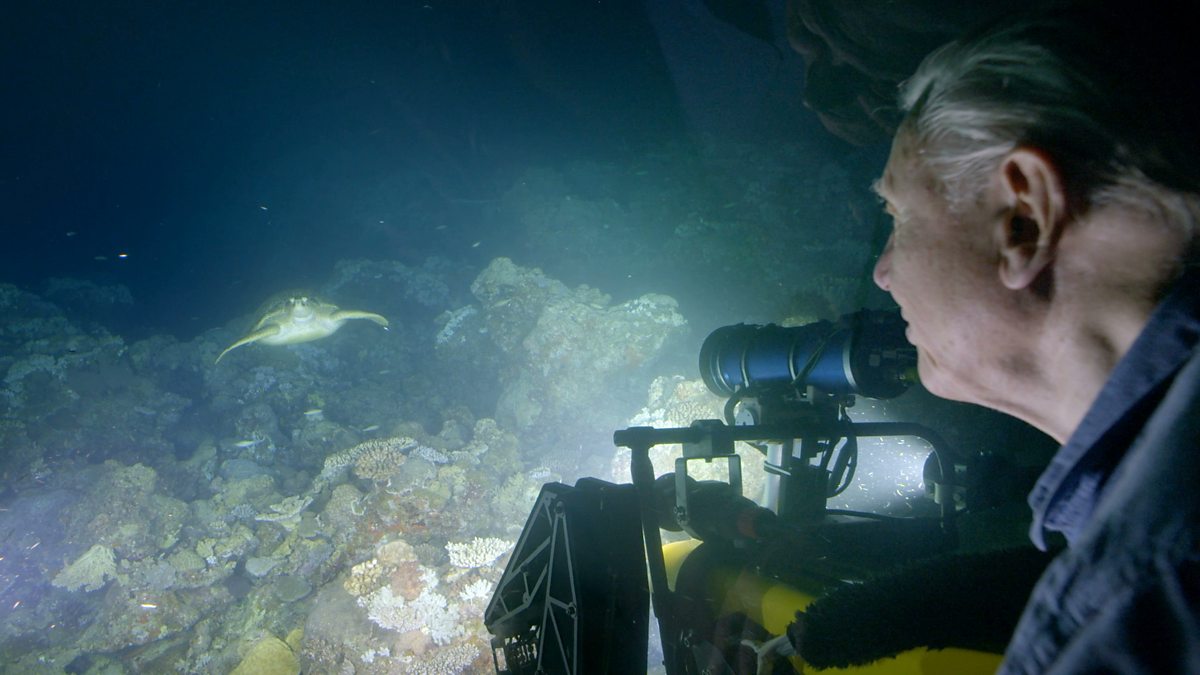 BBC One Great Barrier Reef with David Attenborough, Sir David comes