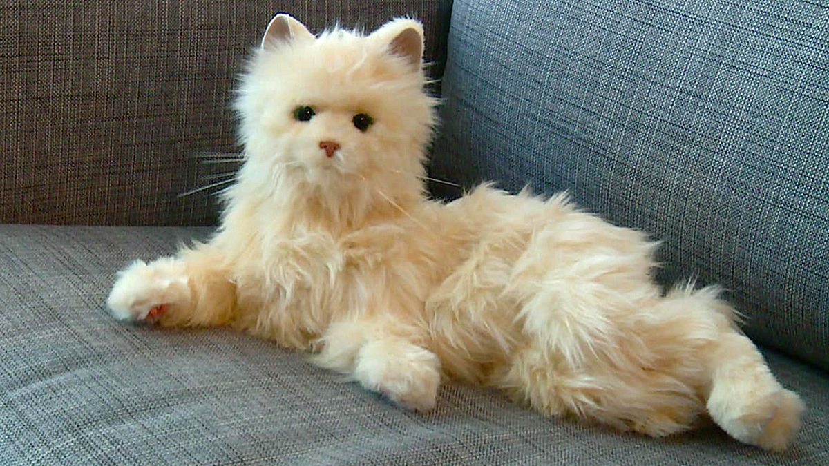 BBC World News Click, 16/01/2016 GMT, Robot cat companion for the elderly