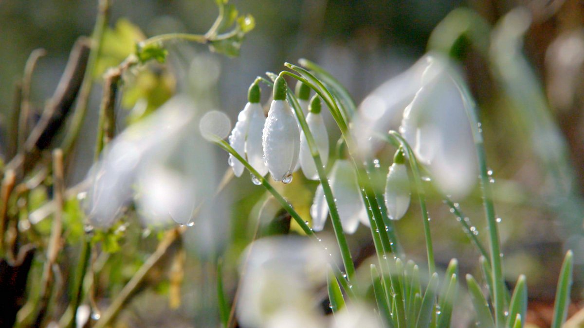 BBC Two - Gardeners' World, 2016, Episode 1