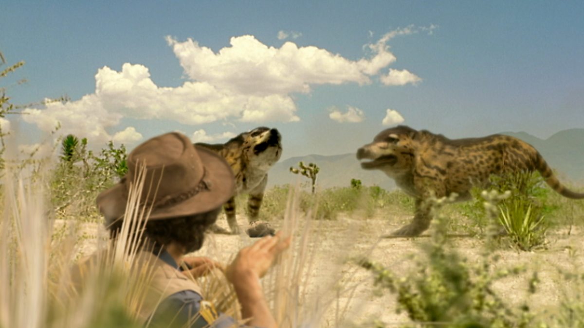 BBC iPlayer - Andy's Prehistoric Adventures - 20. Andrewsarchus and Tooth