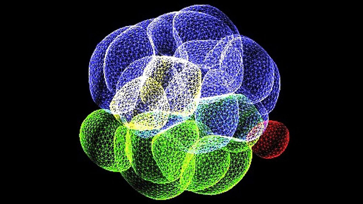 BBC World Service - Science In Action, Damaged Embryos Repair Themselves