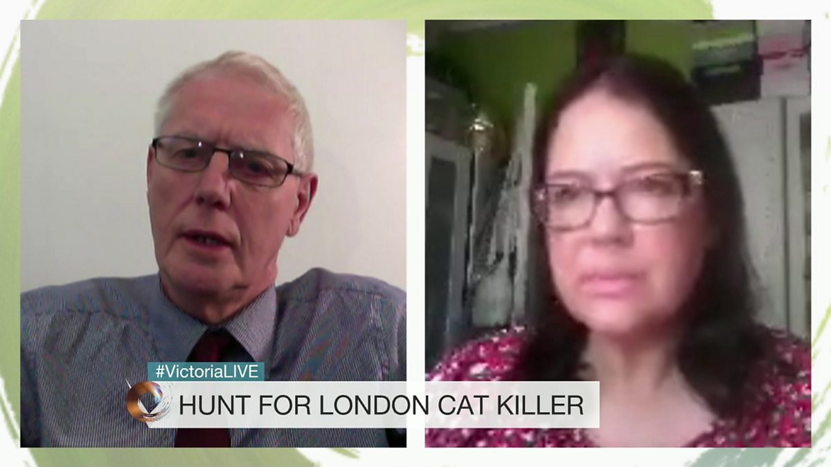 BBC Two Victoria Derbyshire, 14/04/2016, Hunt for London cat killer