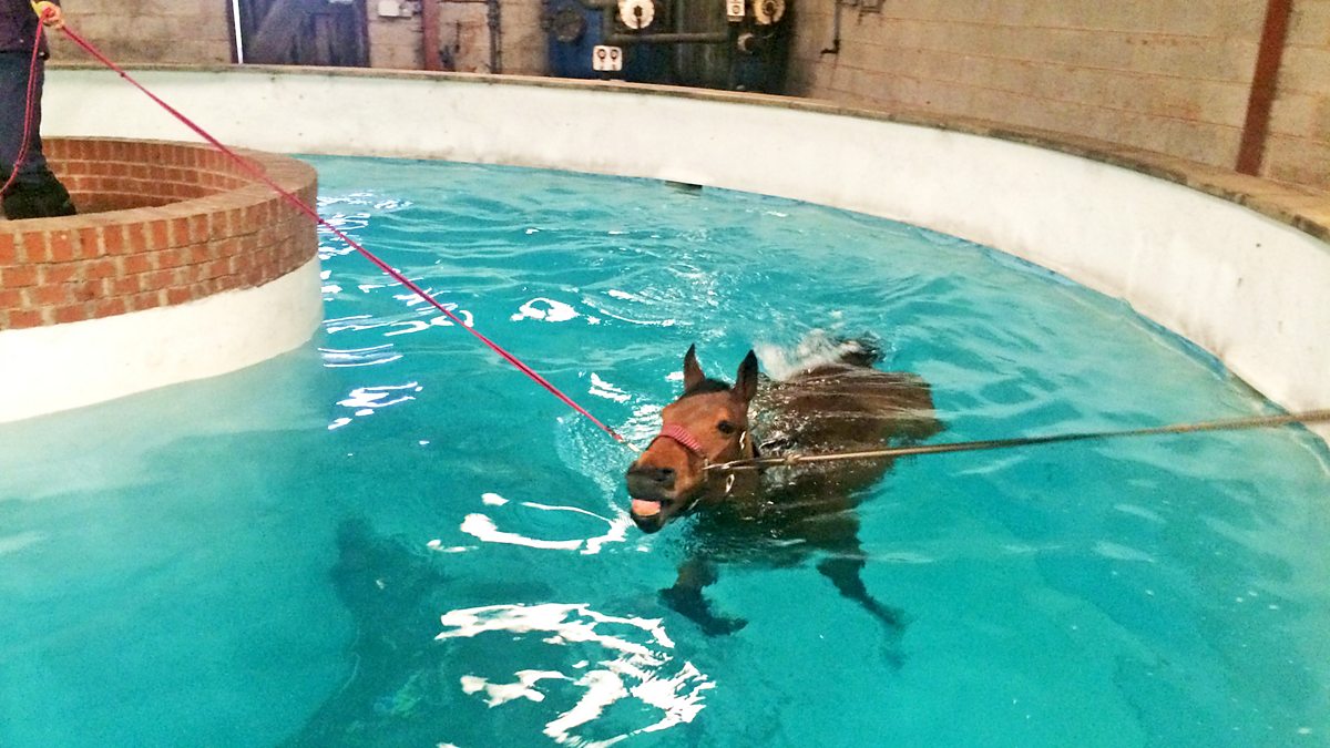 BBC Radio 4 Open Country, Southwell Races, Nottinghamshire