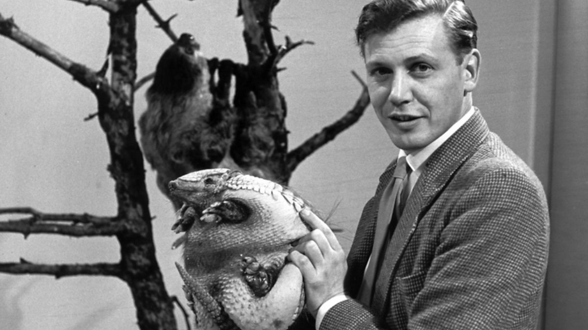 David Attenborough Animals Sir David Attenborough Tells You How You