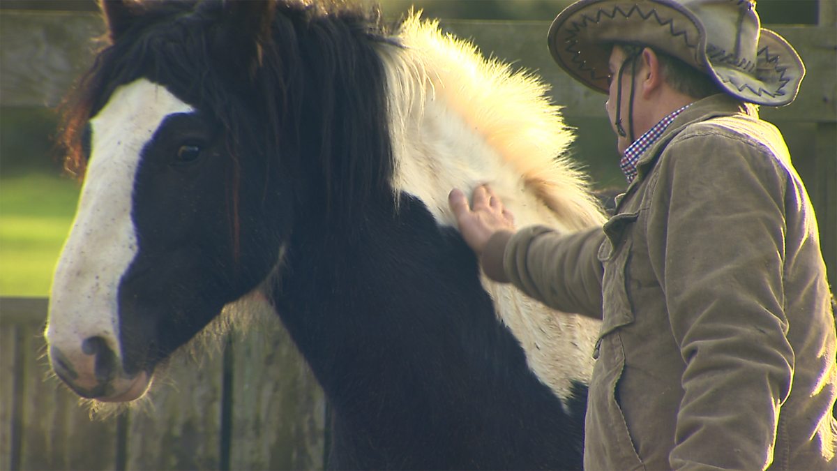 BBC One The Horse Whisperer Home Ground, Series 1, Episode 4 The
