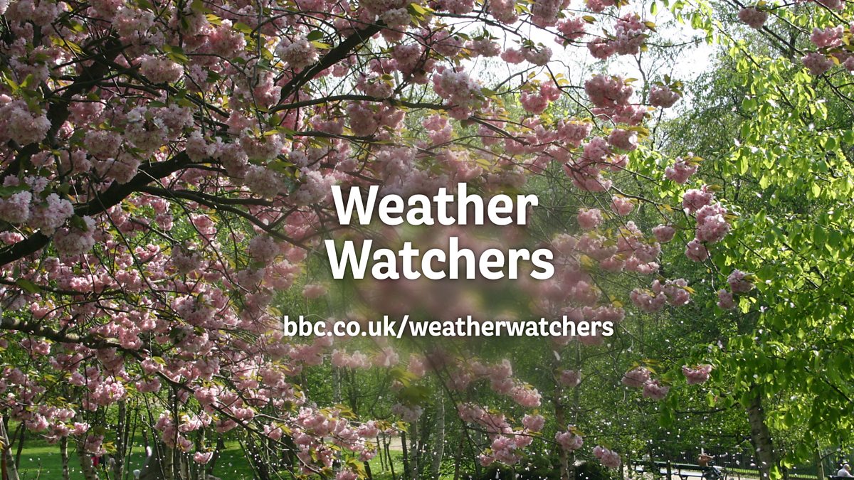 BBC Radio Solent Julian Clegg, The things making you fat, and