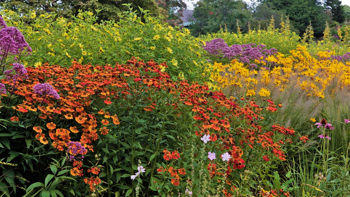 BBC Radio 4 - Gardeners' Question Time, Ness Botanic Gardens ...