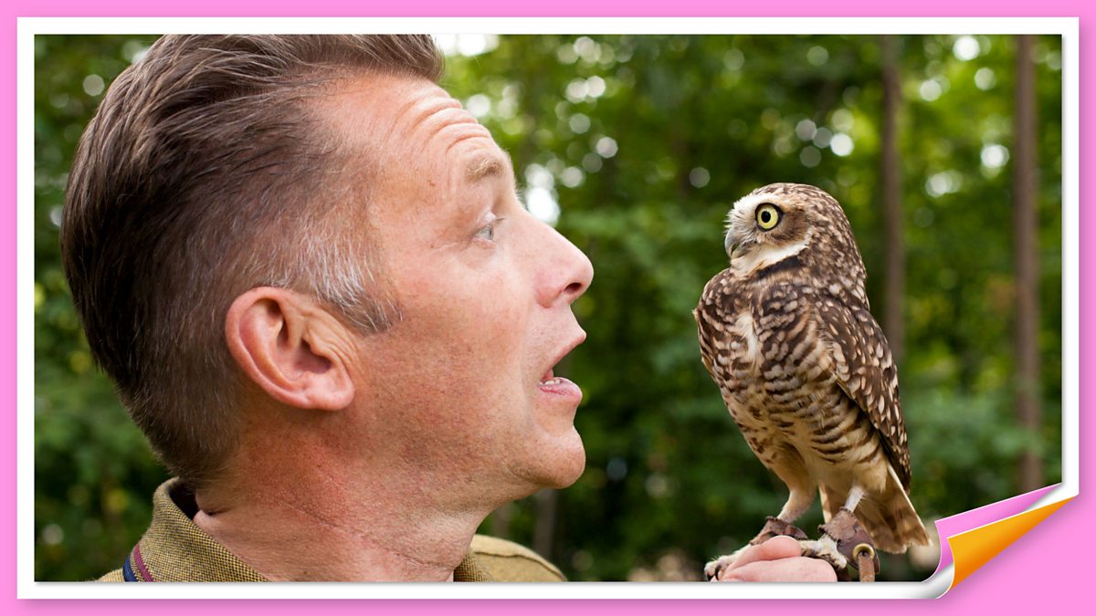 BBC Radio 2 The Chris Evans Breakfast Show, Chris Packham and Rufus