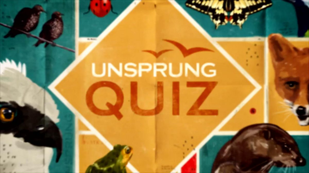 Bbc Two Springwatch Unsprung 2016 Episode 6 Unsprung Quiz