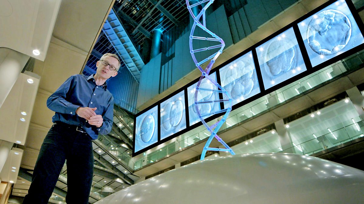 BBC One - Panorama, Medicine's Big Breakthrough: Editing Your Genes