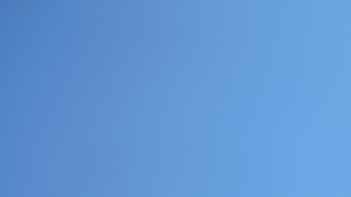 BBC Angus Peter Campbell