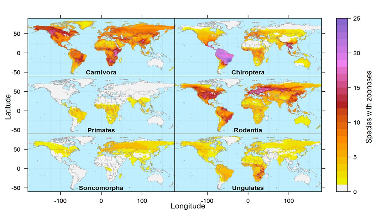 bbc-world-service-health-check-first-maps-of-diseases-which-spread