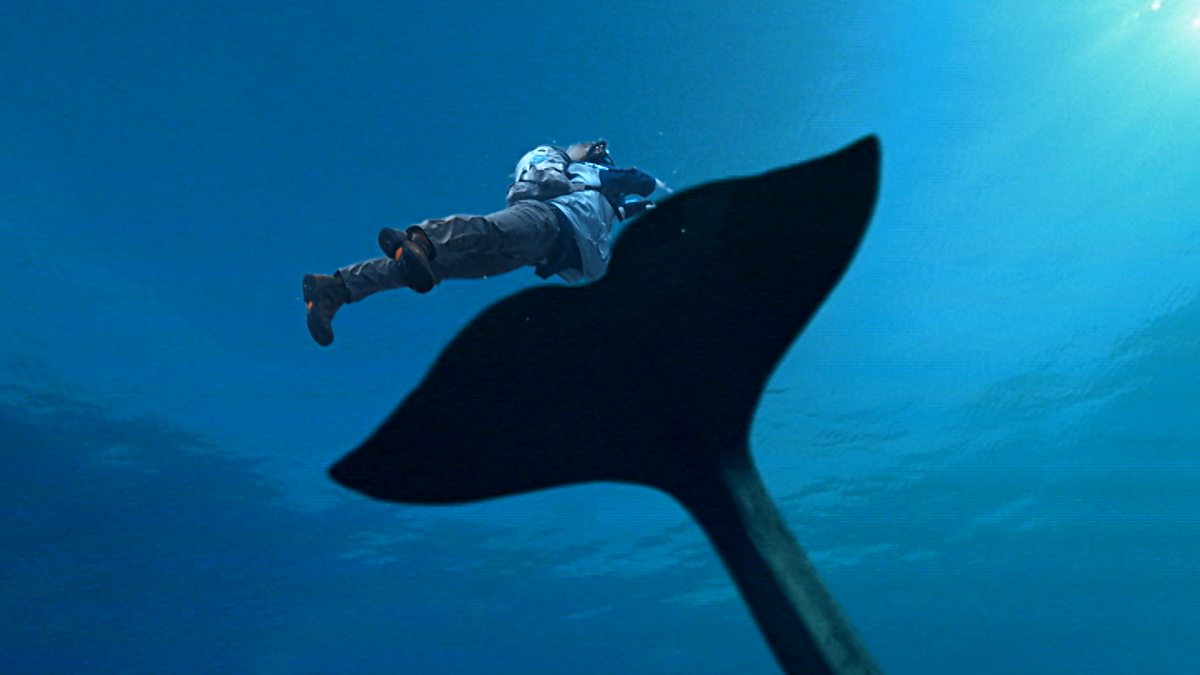 BBC iPlayer Andys Prehistoric Adventures 23. Basilosaurus and Barnacles