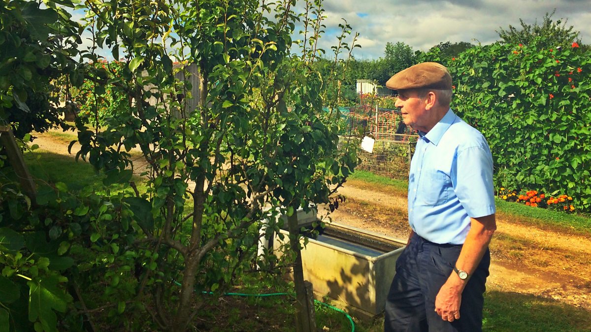 BBC Radio Solent The Kitchen Garden, Rebecca Parker hosts The Good