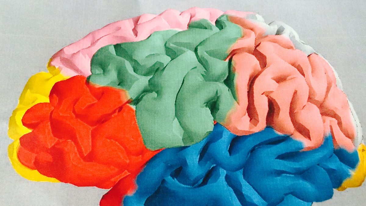 BBC Radio 4 - The Anatomy of Rest, Does the brain rest?