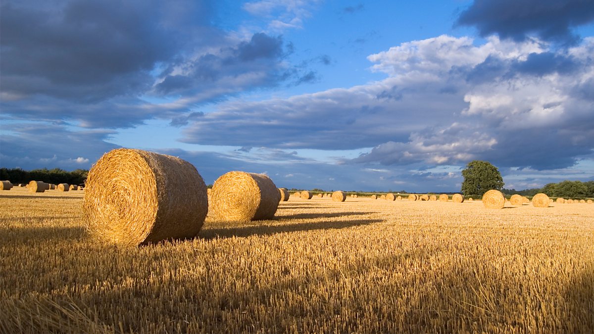 BBC Radio 4 - Four Seasons, Gerard Manley Hopkins: Hurrahing in Harvest ...