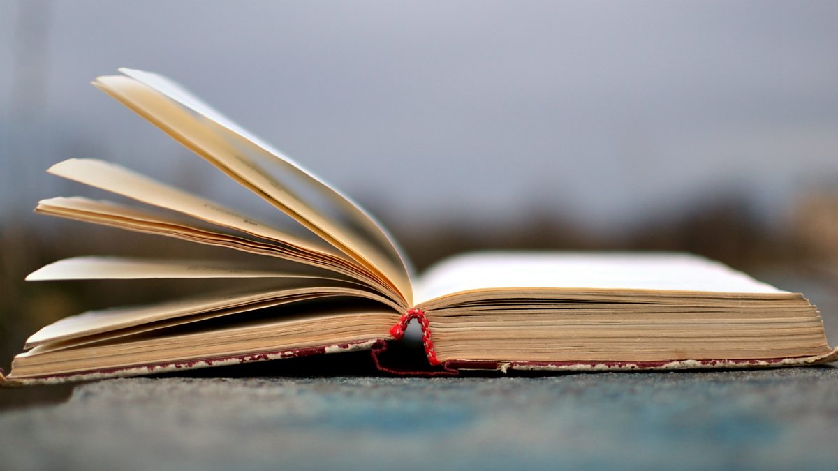 BBC Radio Ulster The Arts Show, 21/09/2016, "Why Brownlee left" by