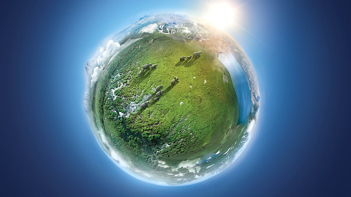 BBC One - Planet Earth II